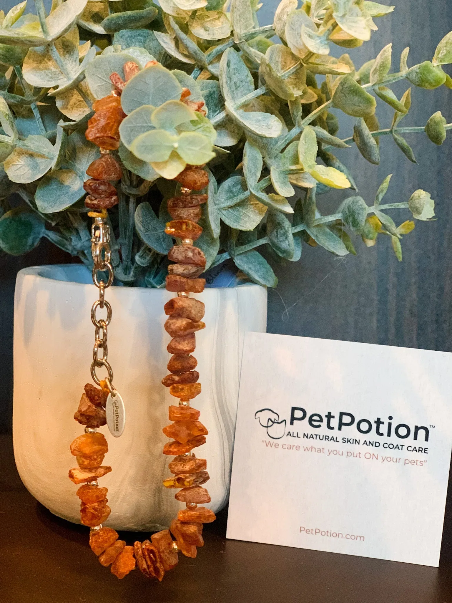 Authentic Baltic Amber Pet Necklace-