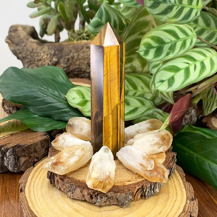 FREE GIVEAWAY! Tiger's Eye & 8 PC Citrine Kit (Just Pay Cost of Shipping)