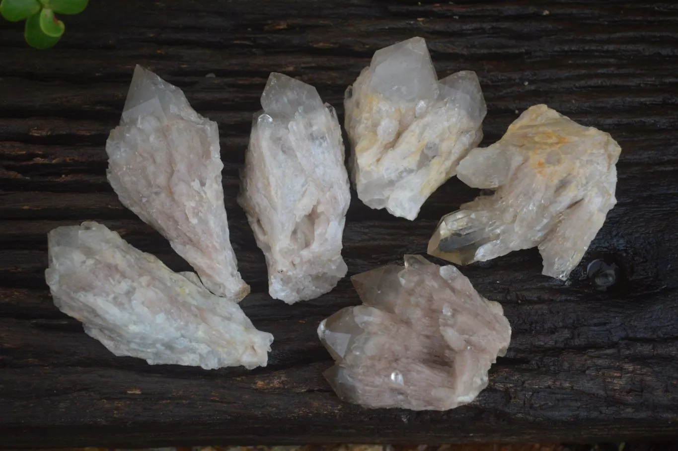 Natural Cascading White Phantom Smokey Quartz Crystal Specimens x 6 From Luena, Congo