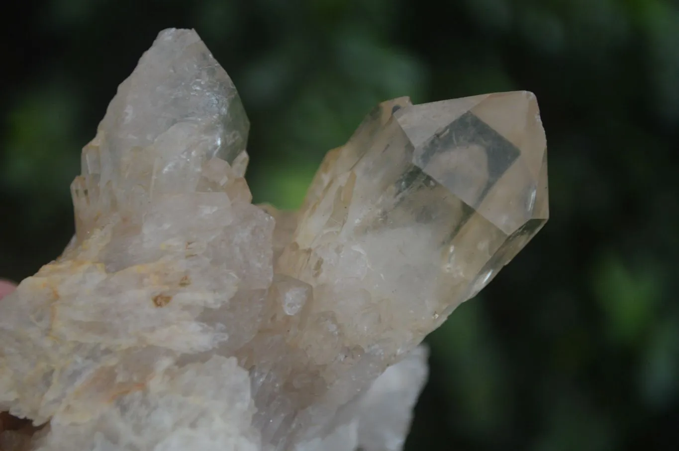 Natural Cascading White Phantom Smokey Quartz Crystal Specimens x 6 From Luena, Congo