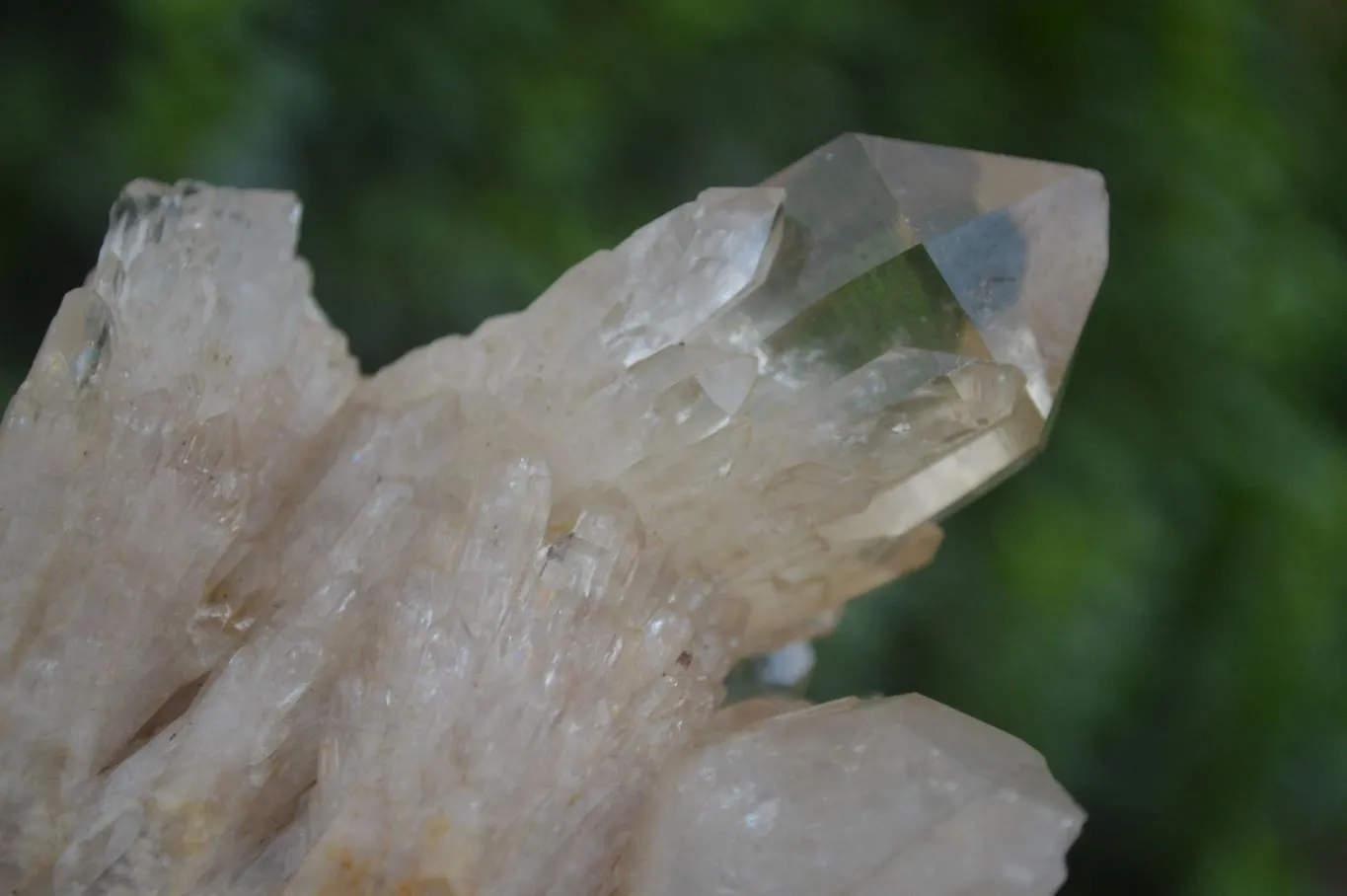 Natural Cascading White Phantom Smokey Quartz Crystal Specimens x 6 From Luena, Congo