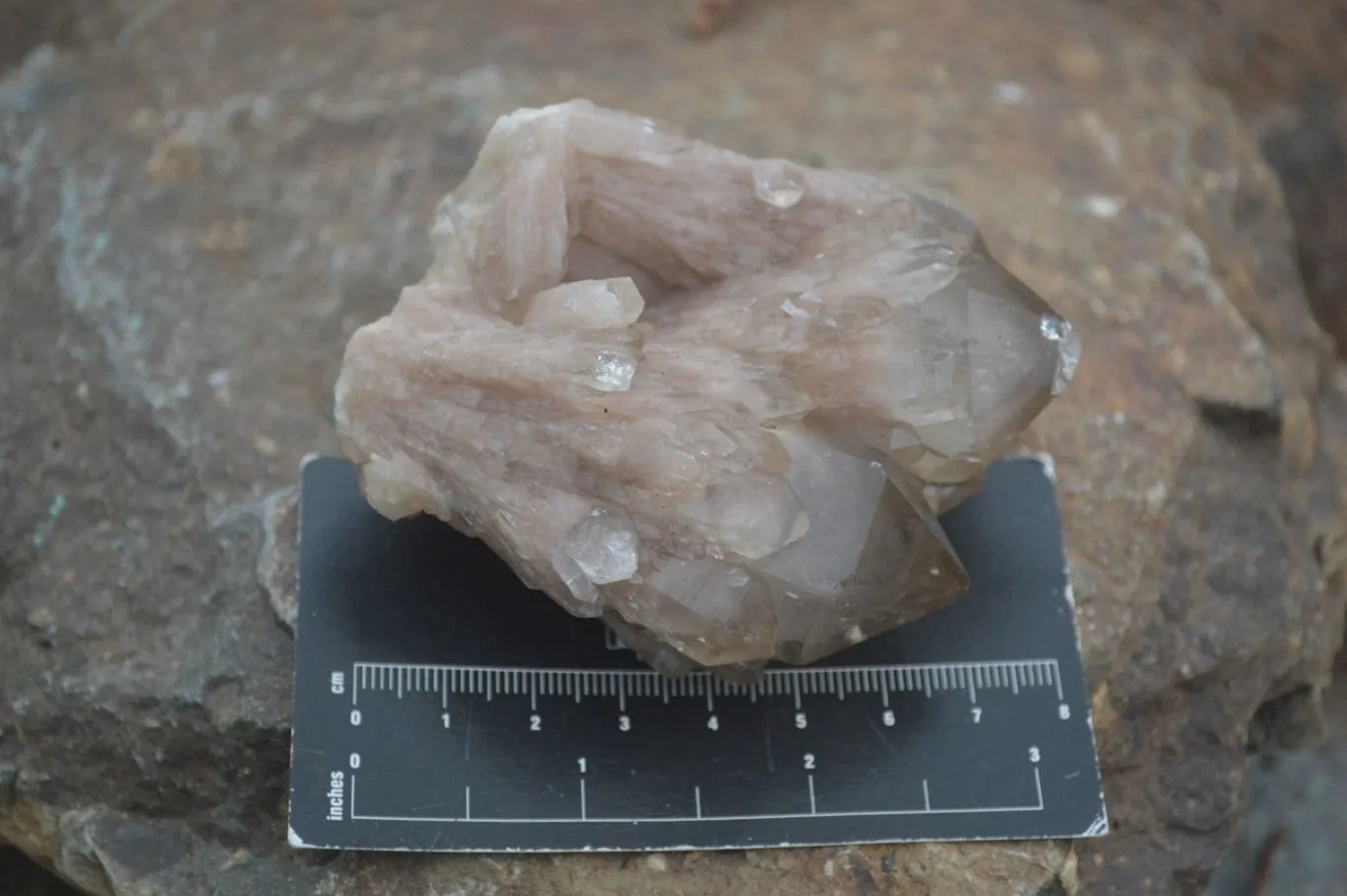 Natural Cascading White Phantom Smokey Quartz Crystal Specimens x 6 From Luena, Congo