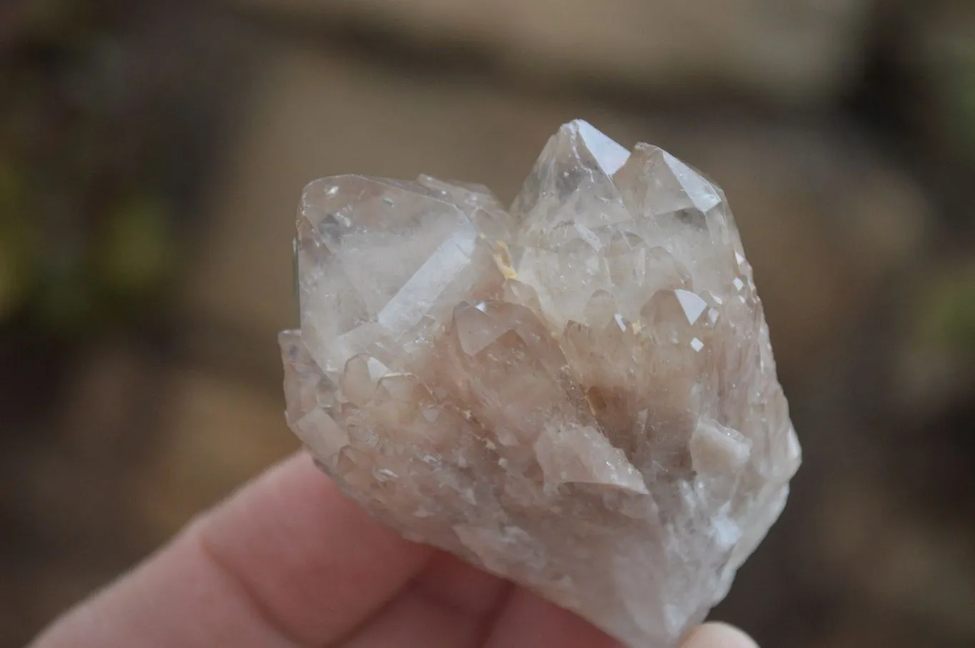 Natural Small White Phantom Smokey Quartz Clusters x 12 From Luena, Congo