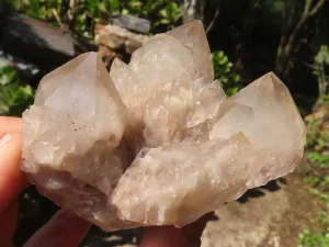 Natural Smokey White Phantom Quartz Clusters x 6 From Luena, Congo