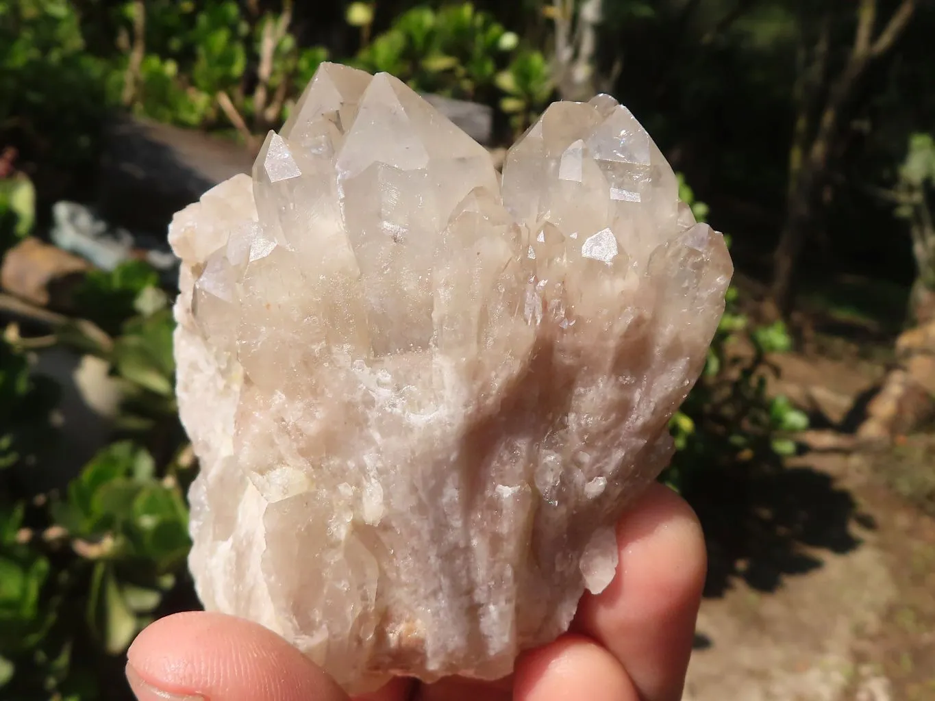 Natural Smokey White Phantom Quartz Clusters x 6 From Luena, Congo