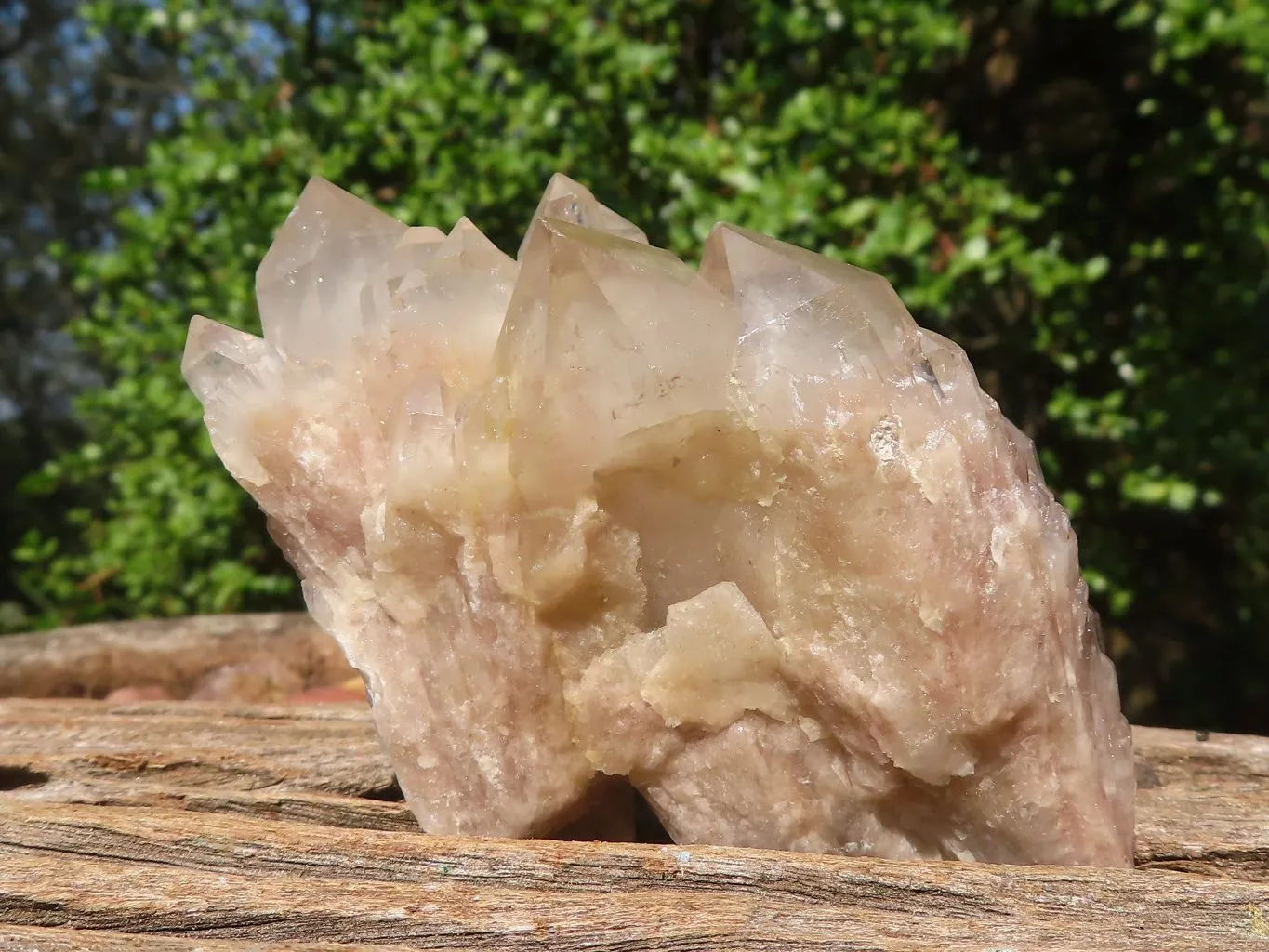 Natural Smokey White Phantom Quartz Clusters x 6 From Luena, Congo