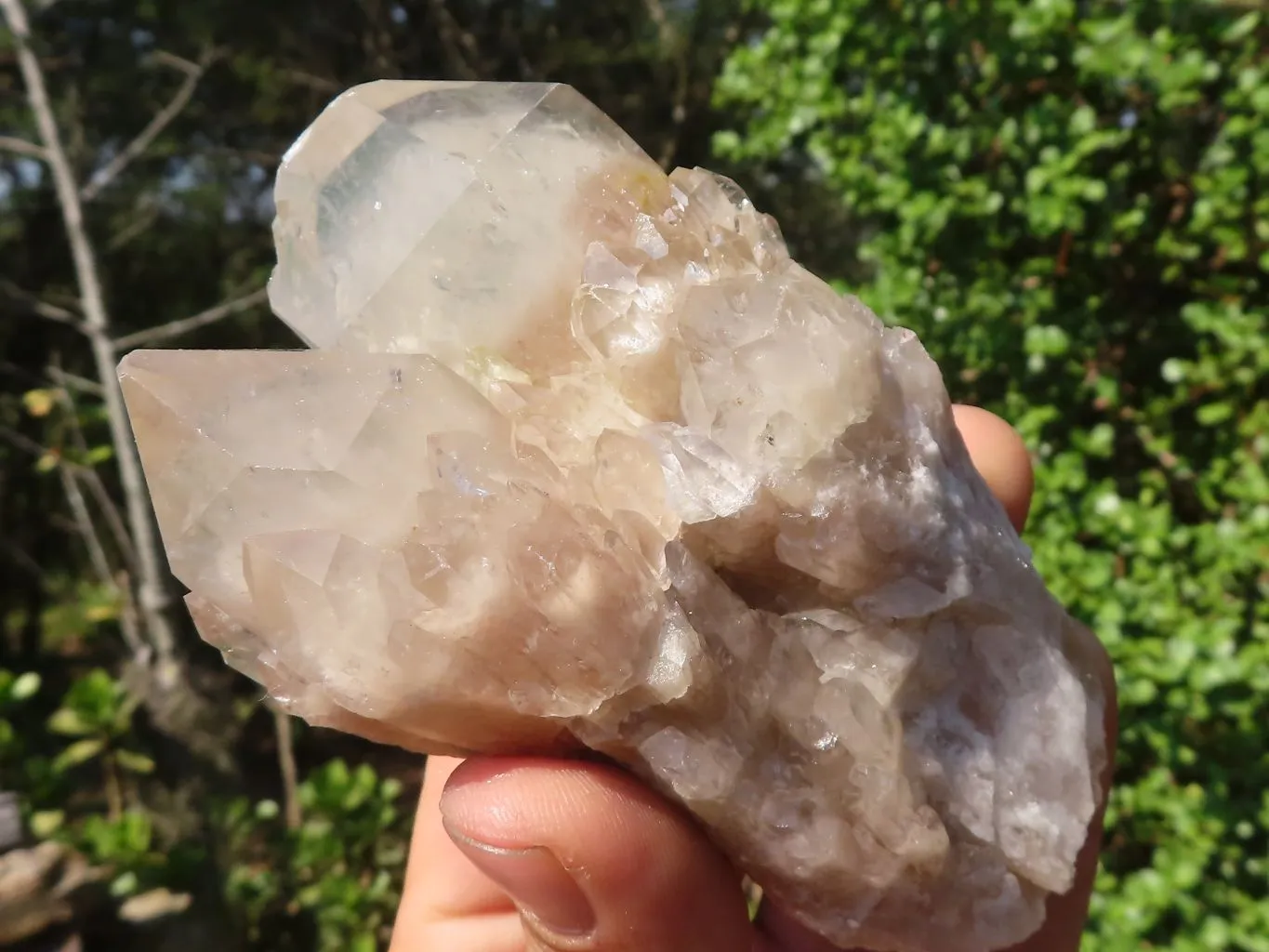 Natural Smokey White Phantom Quartz Clusters x 6 From Luena, Congo