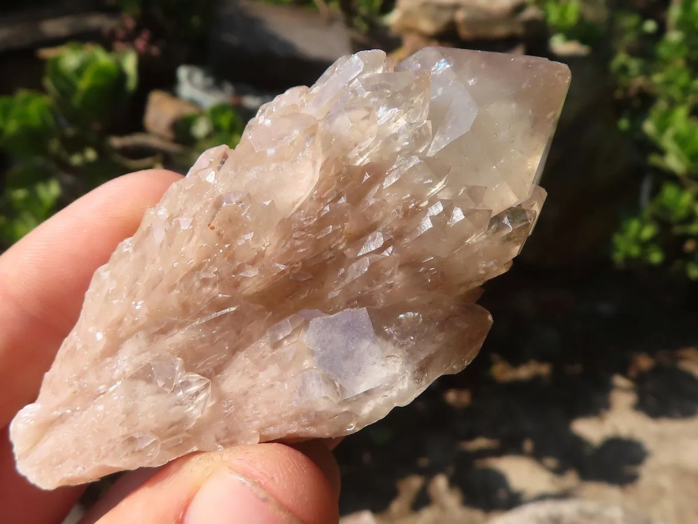 Natural Smokey White Phantom Quartz Clusters x 6 From Luena, Congo