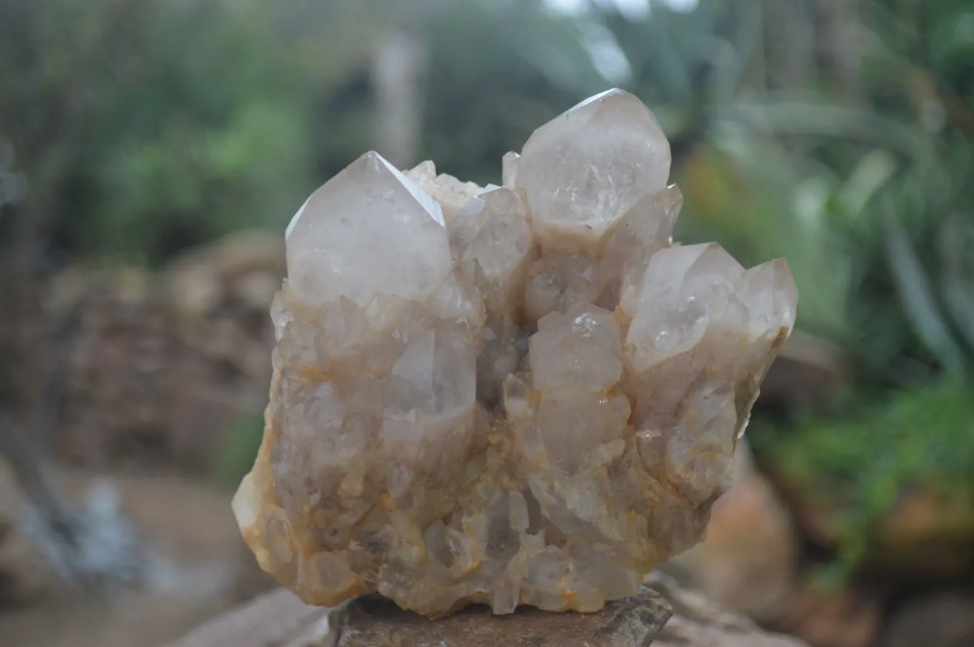 Natural White Phantom Smokey Quartz Clusters x 3 From Congo