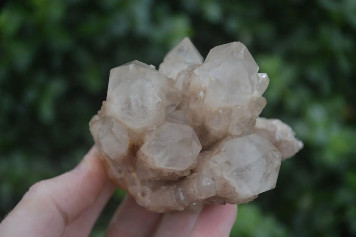 Natural White Phantom Smokey Quartz Clusters x 3 From Congo