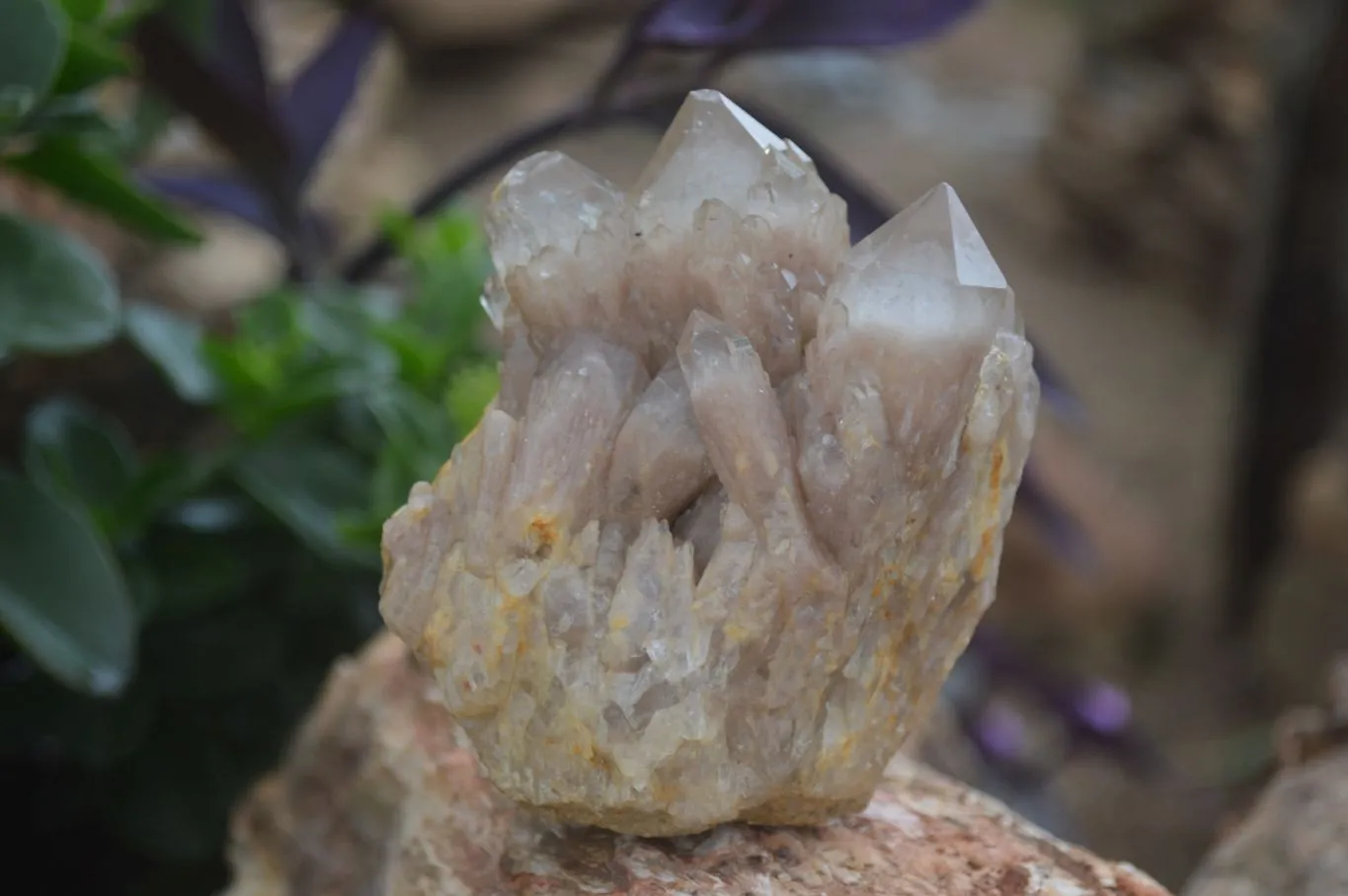 Natural White Phantom Smokey Quartz Clusters x 3 From Congo