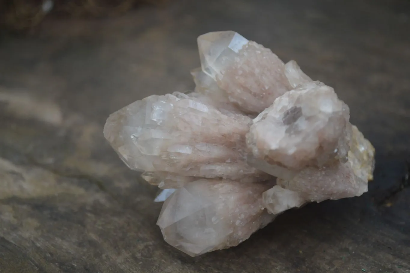 Natural White Phantom Smokey Quartz Clusters x 3 From Congo