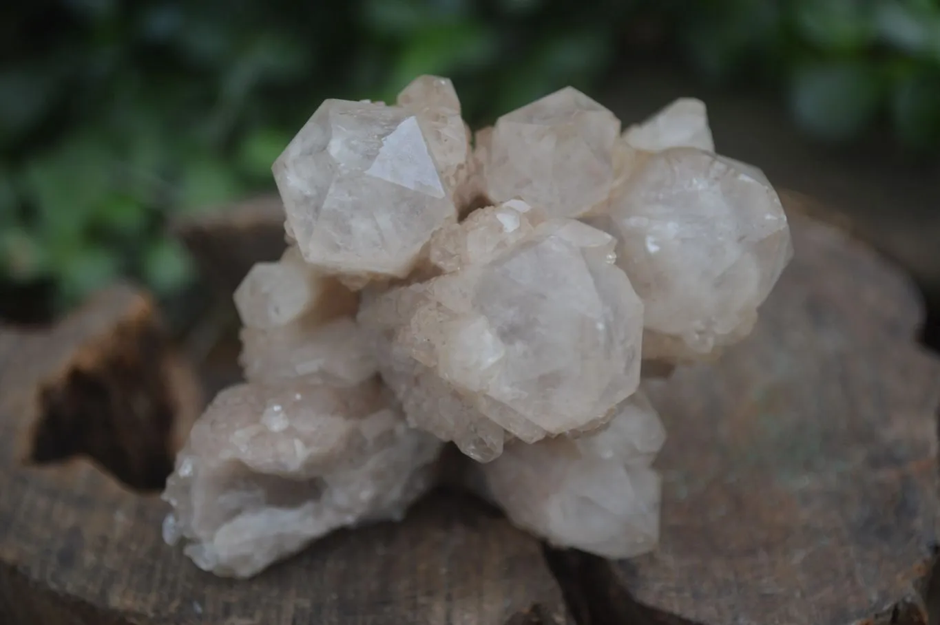 Natural White Phantom Smokey Quartz Clusters x 3 From Congo