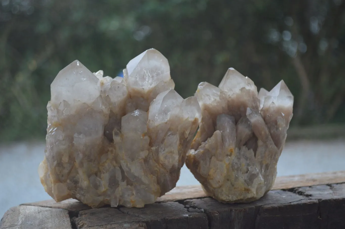 Natural White Phantom Smokey Quartz Clusters x 3 From Congo