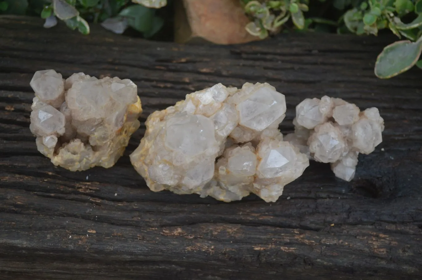 Natural White Phantom Smokey Quartz Clusters x 3 From Congo